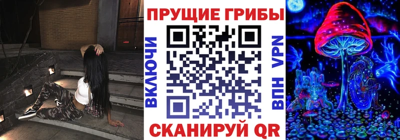 Купить закладки  Апатиты  Псилоцибиновые грибы GOLDEN TEACHER 